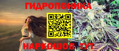 PSILOCYBIN Славгород