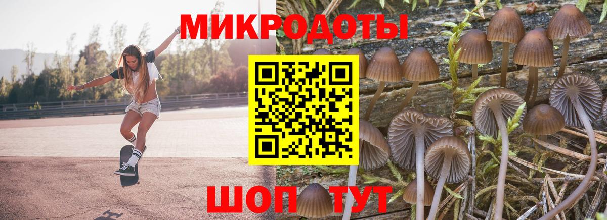 Галлюциногенные грибы мицелий Орск