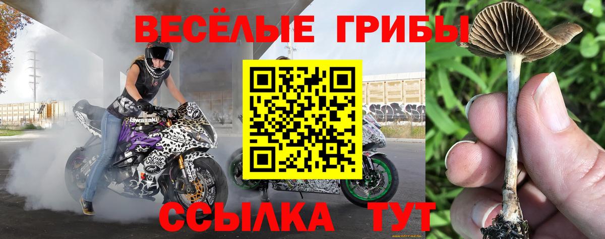 Псилоцибиновые грибы Cubensis  Галлюциногенные грибы ЛСД  Орск  наркота  Вход с VPN 